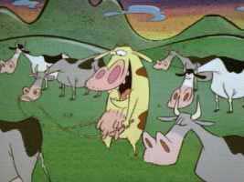 Herding Cow