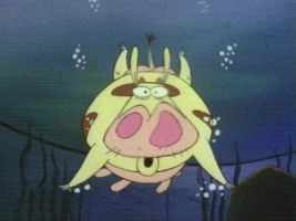 Swimming Cow