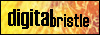 Digital Bristle