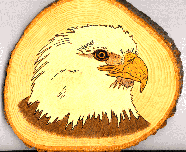 eagle