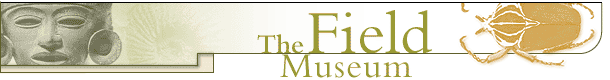 FieldMuseum