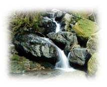 The miraculous healing Waters of Nordenau