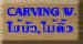 Carving Wood Ǵ,