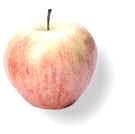 apple1.jpg (2181 bytes)