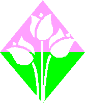 צ~.gif (2560 bytes)