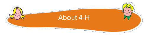 About 4-H