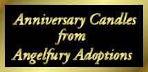 AngelFury/Adoptions