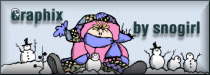 SnoVille