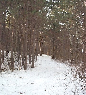 Beaver Dam Trail
