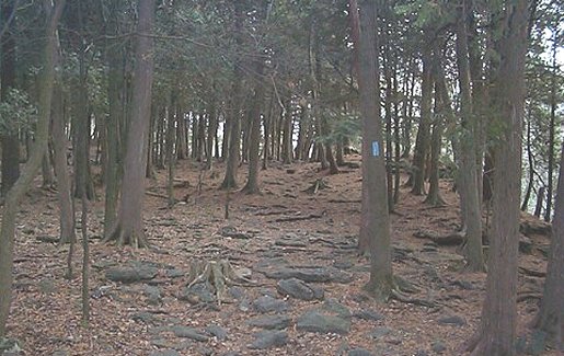 Bruce Trail