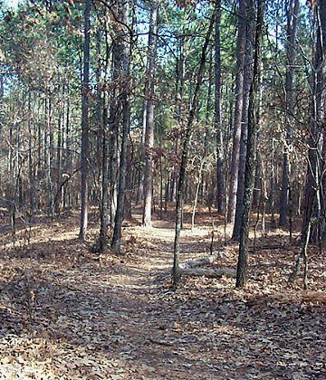 Connector Trail
