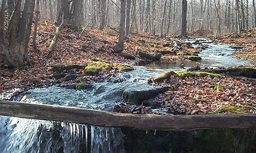 16 Mile Creek