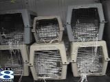 Cages