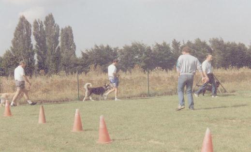 volgoefening aan de leiband