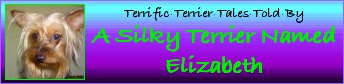Lizzie's Banner