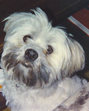 Picture of Pooh