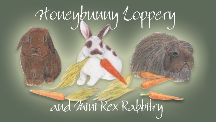 Honeybunny Rabbitry Logo
