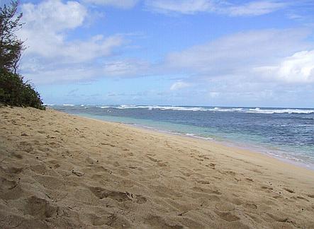 Beach in Mokuleia