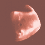 deimos (8K)