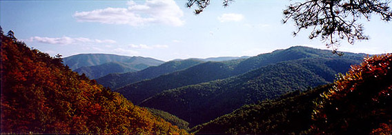 Shenandoah National Park, Fall 1998. Photo By J.B.