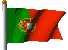 Portuguese Flag