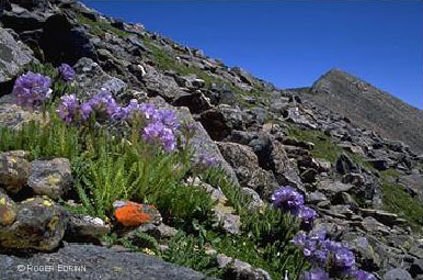 Culebra Peak