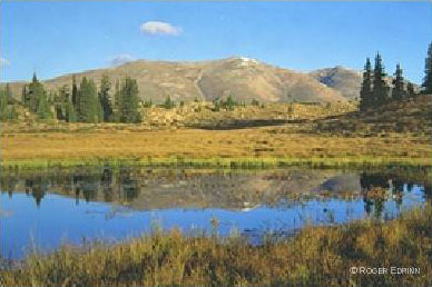 Mt. Lincoln