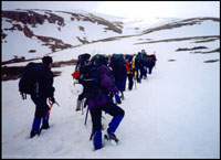 Mt. Bross