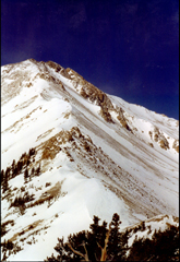 Mt. Yale Summit Ridge