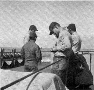 FoxDiv6.jpg (56421 bytes)