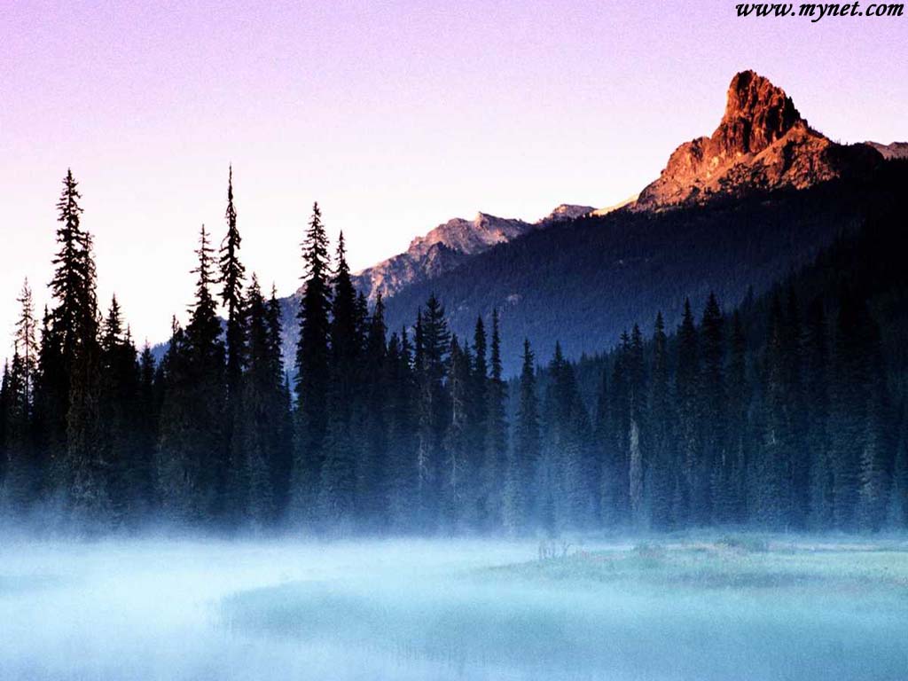 Ls620_1024x768.jpg (88383 bytes)