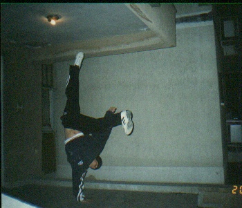 harrrra.JPG (50891 bytes)