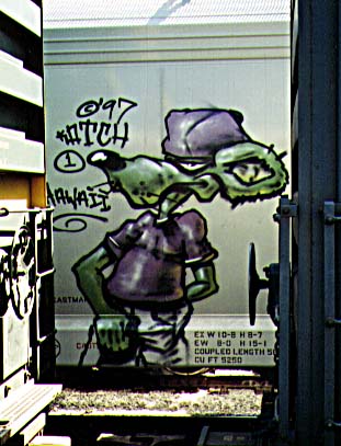 kedi.jpg (34998 bytes)