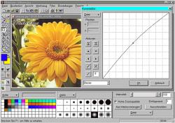 photoline.jpg (13491 bytes)