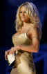 pamela_anderson_p.jpg (12386 bytes)