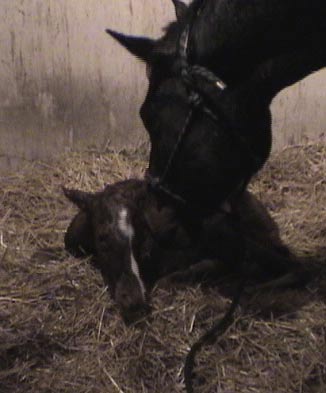 5 minutes old...