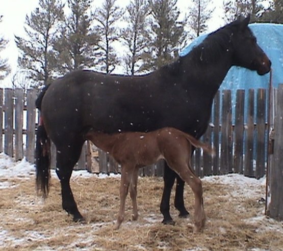 4 days old...