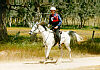 Grampians ER '96