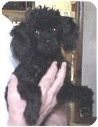 Poco at 5 months and 4 lbs