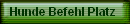 Hunde Befehl Platz