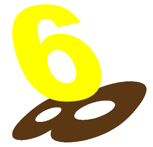 Welcome to 6/8