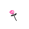 Favorite Flower - Carnation