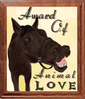 1panimal.gif (24083 bytes)