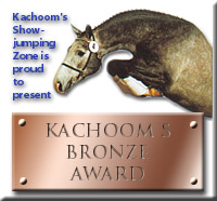 bronzeaward.jpg (25676 bytes)