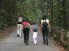 main road trail