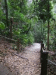 trail