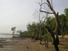 KNT beach