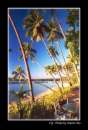 Travel Book Fiji