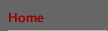 Home button inactive