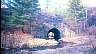 tunnel.jpg